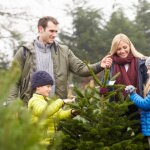 Tree and Debris Removal Billings MT