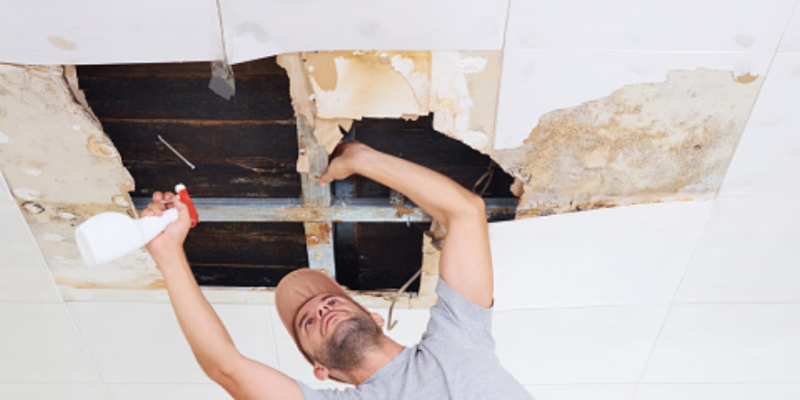 roof mold removal billings mt